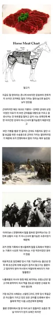 ㅎㄷㄷㄷ